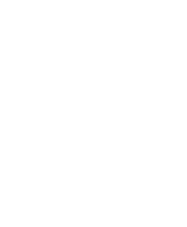 Digitech Systems